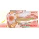 Falkland Adaları 5 Pound 2025 P#20 ÇİL/UNC Polimer Kağıt Para ön ve arka yüz banknot görseli