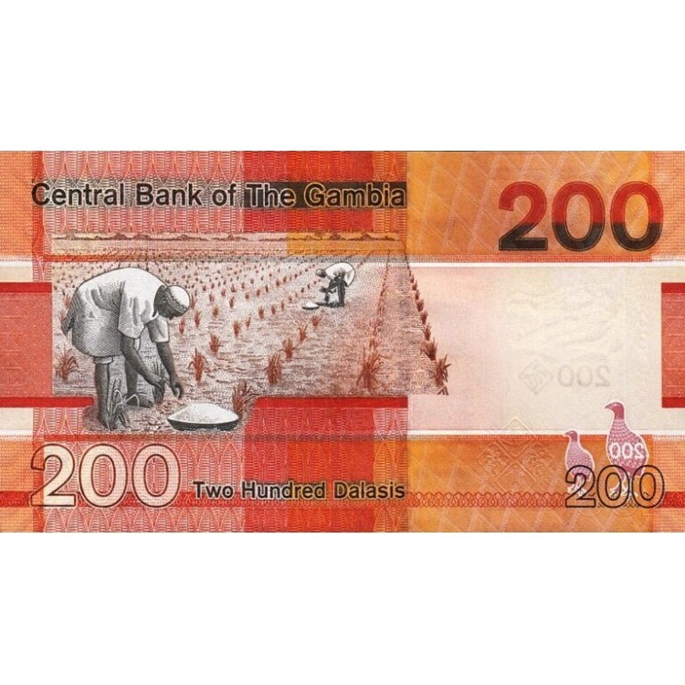GAMBİA 200 DALASIS 2023, P#42c, ÇİL, ESKİ YABANCI KAĞIT PARA