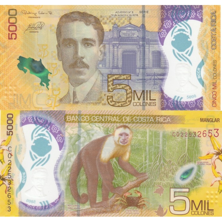 KOSTA RİKA 5000 COLONES 2018 POLYMER, P#282, ÇİL, ESKİ YABANCI KAĞIT PARA