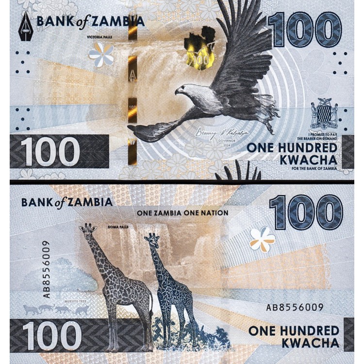 ZAMBİA 100 KWACHA 2024 HYBRİD, P#65, ÇİL, ESKİ YABANCI KAĞIT PARA