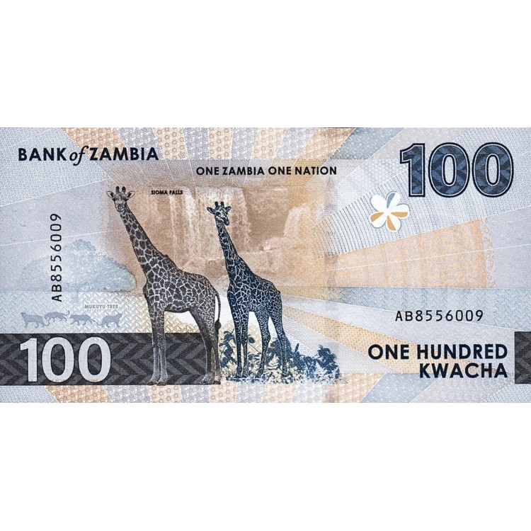 ZAMBİA 100 KWACHA 2024 HYBRİD, P#65, ÇİL, ESKİ YABANCI KAĞIT PARA
