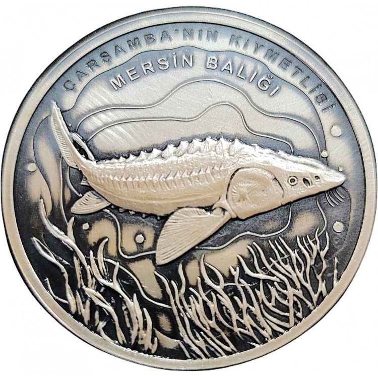 MERSİN BALIĞI 2021, DARPHANE HATIRA OXİDE GÜMÜŞ PARA, SERTİFİKALI MERSİN BALIĞI 2021, DARPHANE HATIRA OXİDE GÜMÜŞ PARA, SERTİFİKALI