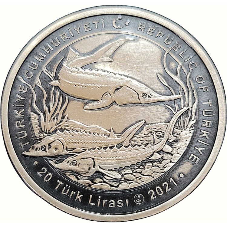 MERSİN BALIĞI 2021, DARPHANE HATIRA OXİDE GÜMÜŞ PARA, SERTİFİKALI MERSİN BALIĞI 2021, DARPHANE HATIRA OXİDE GÜMÜŞ PARA, SERTİFİKALI