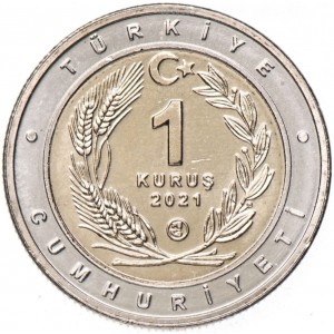  Karakulak 1 Kuruş 2021, Darphane Hatıra Bimetal Para, Çil