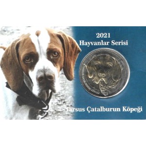 Tarsus Çatalburun Köpeği 1 Kuruş 2021, Darphane Hatıra Bimetal  Para, Özel Kitinde, Çil